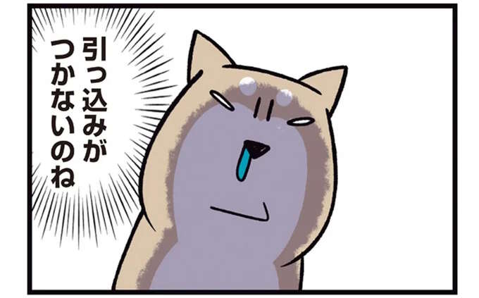 「引っこみがつかなくなった柴犬」。ただの葉っぱにガルル～！の後の捨てゼリフは／ドヤ顔柴犬どんぐり2