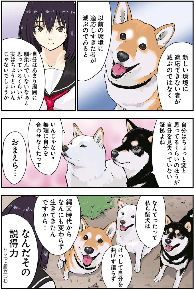 「ぼっちだった」ご主人をなぐさめる柴犬たち。その妙に強い「説得力」／世界の終わりに柴犬と 3.png