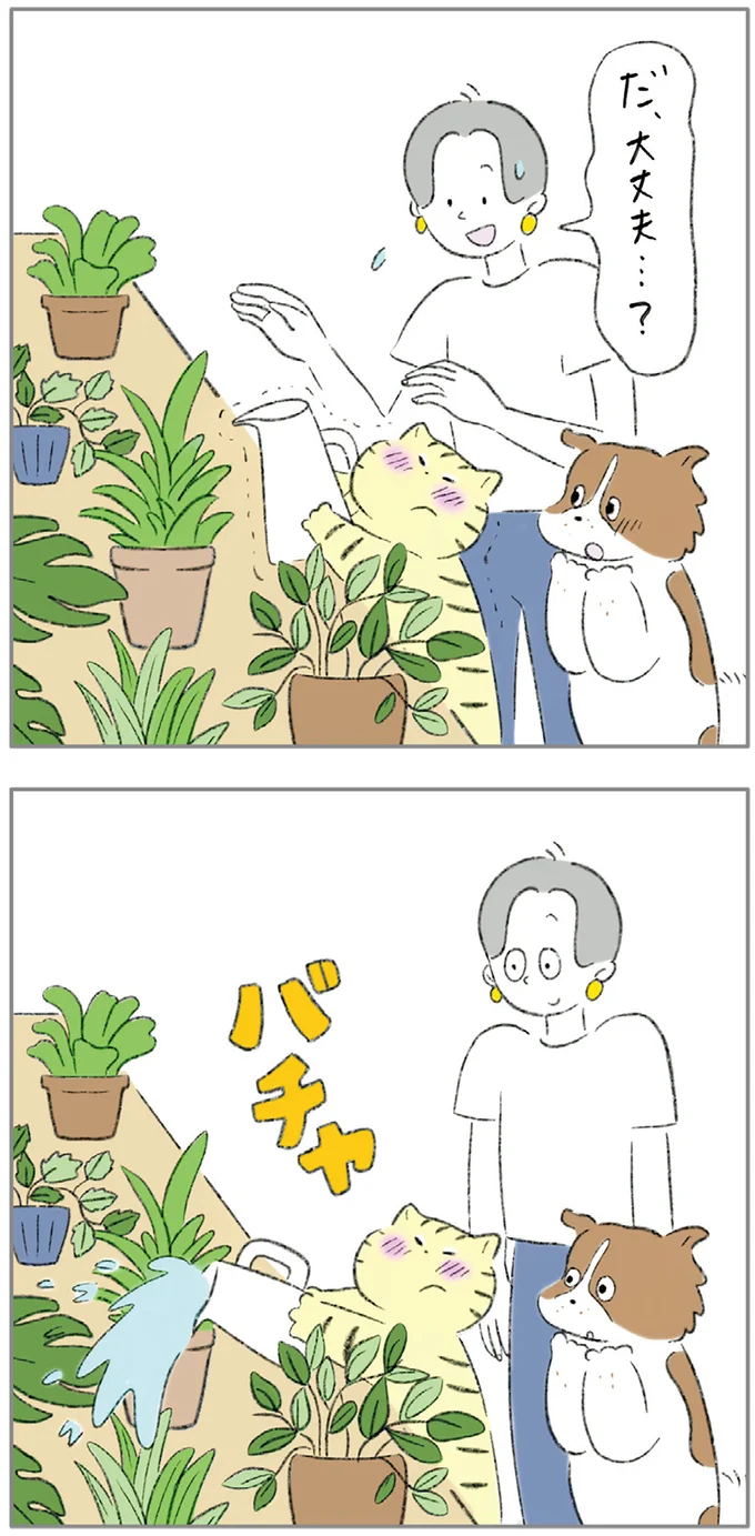 『ターとアグのしあわせ日和 元ノラ猫と元保護犬、ふたりは親友』 03-07.png