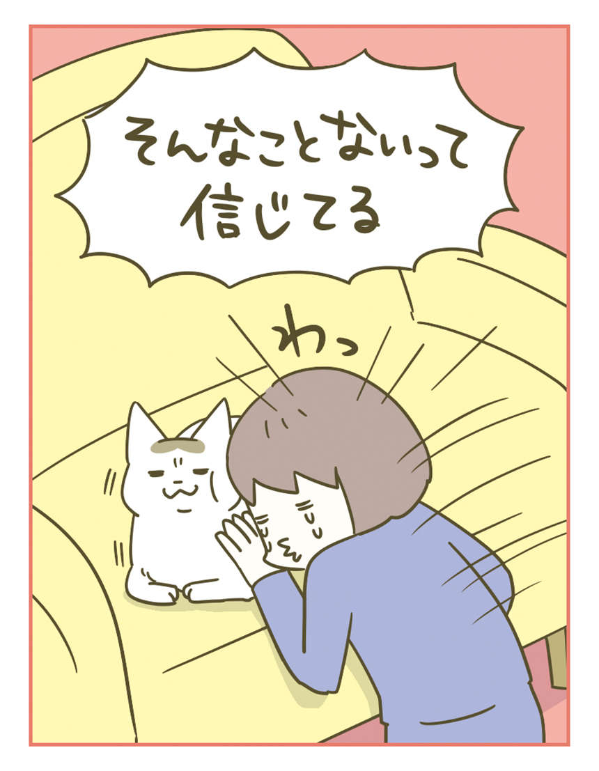 えっ、暴言吐いてる...？「ウチの猫の動画を見た猫」の反応が...／うちの猫がまた変なことしてる。3 11.jpg