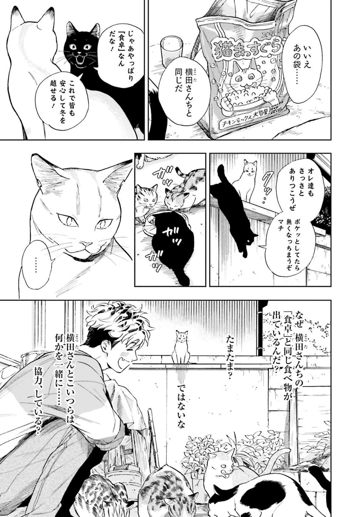 町のノラ猫対策に人間が作った、新しい「食卓」。警戒する猫は...／ゴジュッセンチの一生 12.jpg