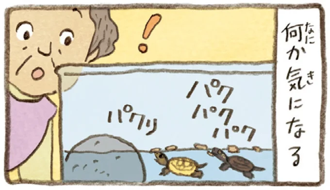 2匹とも食べてはいるけれど。おばあちゃんがかめの餌やりで気付いたこと／おばあちゃんとかめ