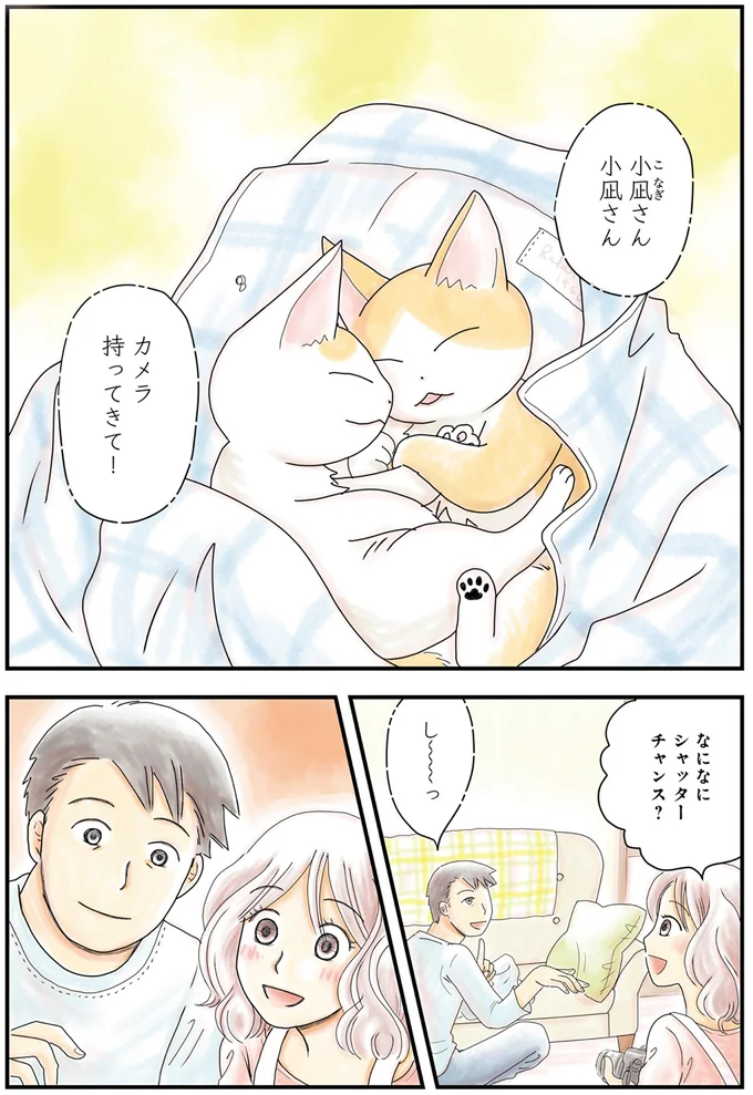 子猫たちとのラブラブ生活のため...まずは匂いに慣れてもらおう！／飼い猫がなつきません 03-01.png