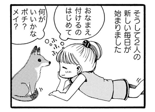 ええっ!! 犬と一緒に暮らして15年。弟だと思っていた愛犬は大先輩の年齢に／96歳の柴犬ハチさん 1.jpg