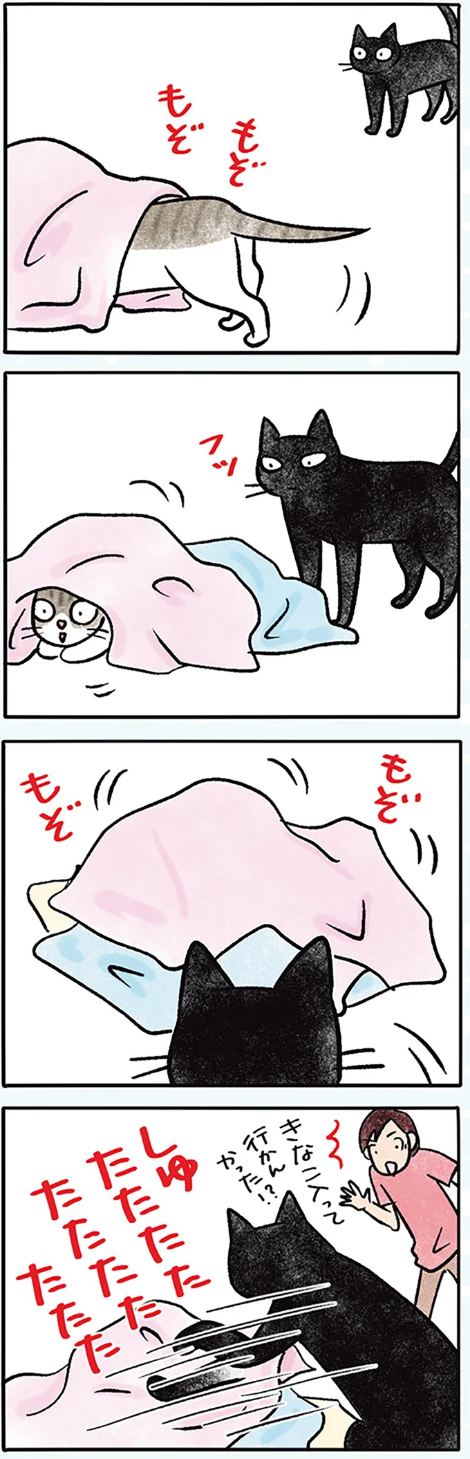 『黒猫ナノとキジシロ猫きなこ』 08-02.png