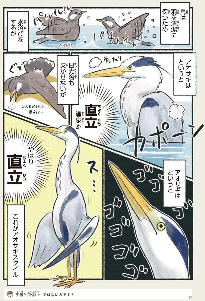 『意外と知らない鳥の生活 1〜2』 251.webp