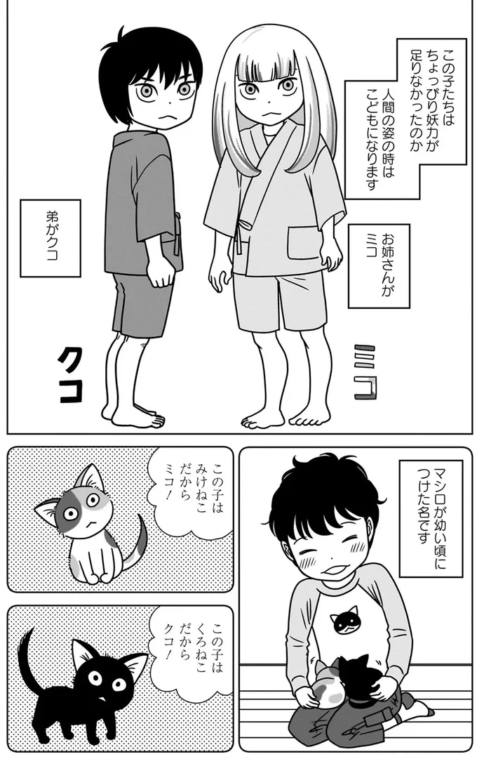 人間とねこまたの共同生活。ねこまたは体が大きくて力も強い頼れる存在！／ねこまた印の染物屋さん 15650330.webp