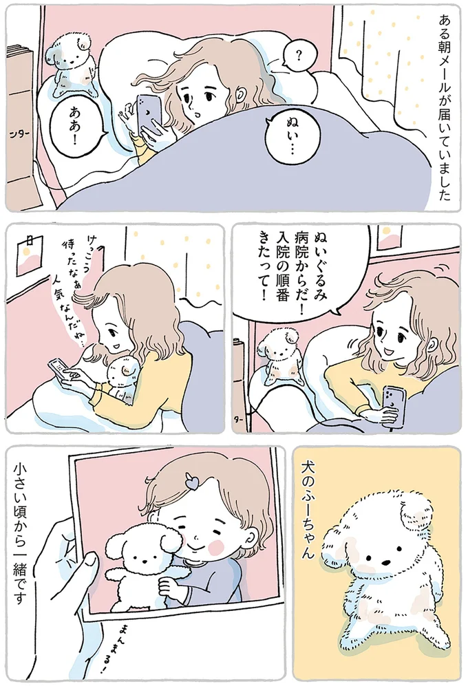 離れるのは寂しくて不安だけど。ずっと一緒だった大事な子を「ぬいぐるみ病院」へ/わたしのぬいぐるみさん 15867506.webp