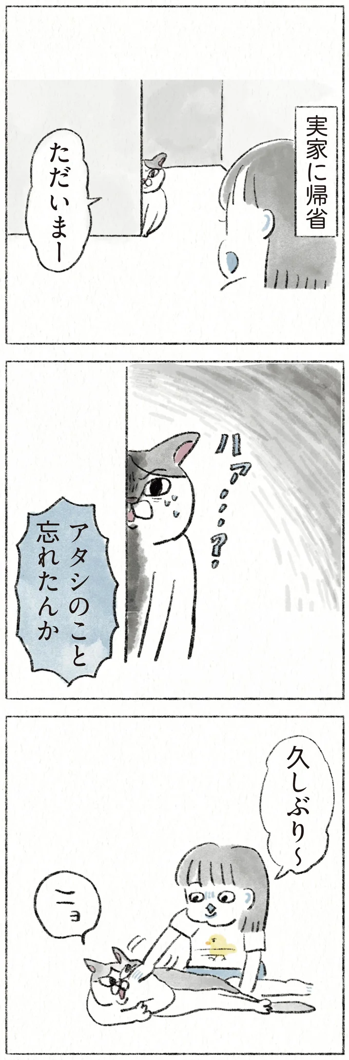 『うちの猫は今日も塩対応』 61.webp