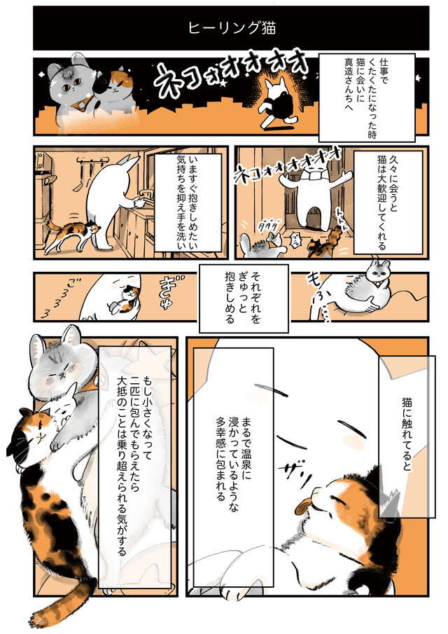 「ネコオオオ！」仕事でくたくたになった時、愛猫を抱きしめるとこんな効果が！ ／うちの猫は仲が悪い e2adf85e3ea92db33b1c70368cdcce6a.jpg