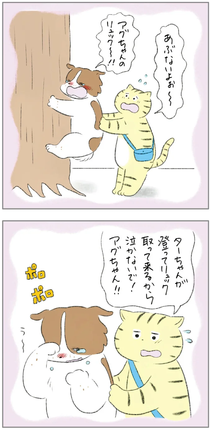 『ターとアグのしあわせ日和 元ノラ猫と元保護犬、ふたりは親友』 01-10.png