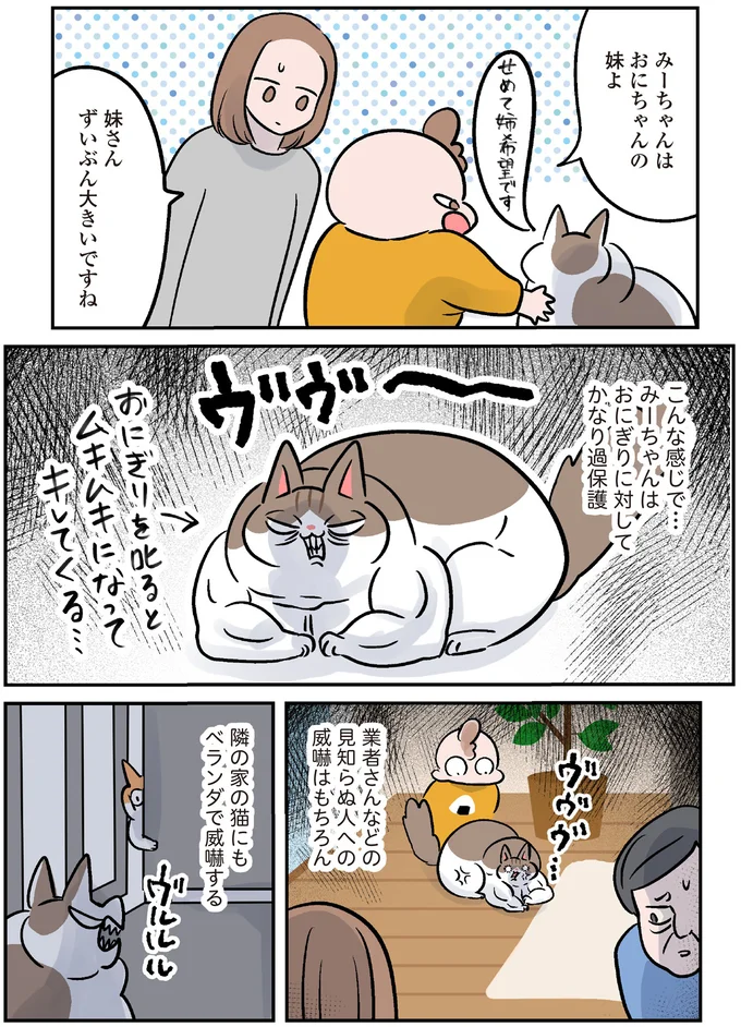 『マジレス幼児とモンペ猫 口達者な娘と過保護すぎる猫たちとの日常』 63.webp