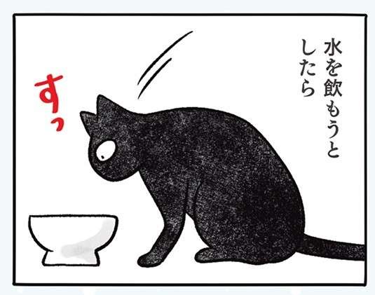 うちの猫2匹の微妙な「距離感」。仲がいいのか悪いのか／黒猫ナノとキジシロ猫きなこ kuroneko_nano13-1.jpg