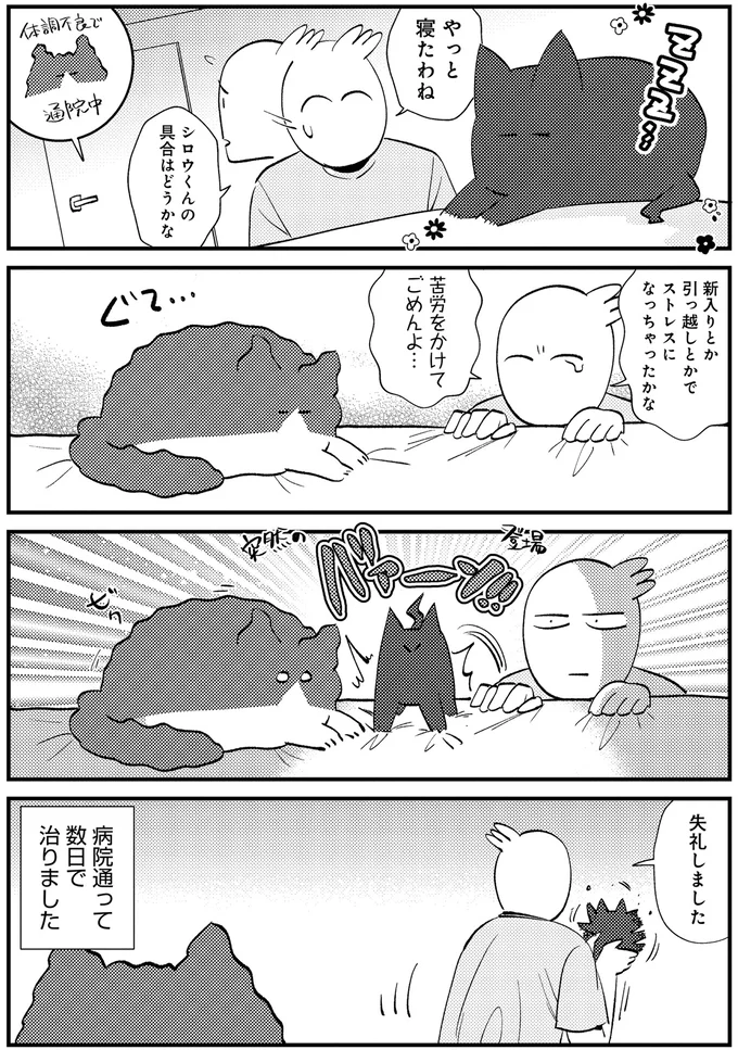 『最高カワイイ！ 甘えん坊3猫日記』 03-01.png