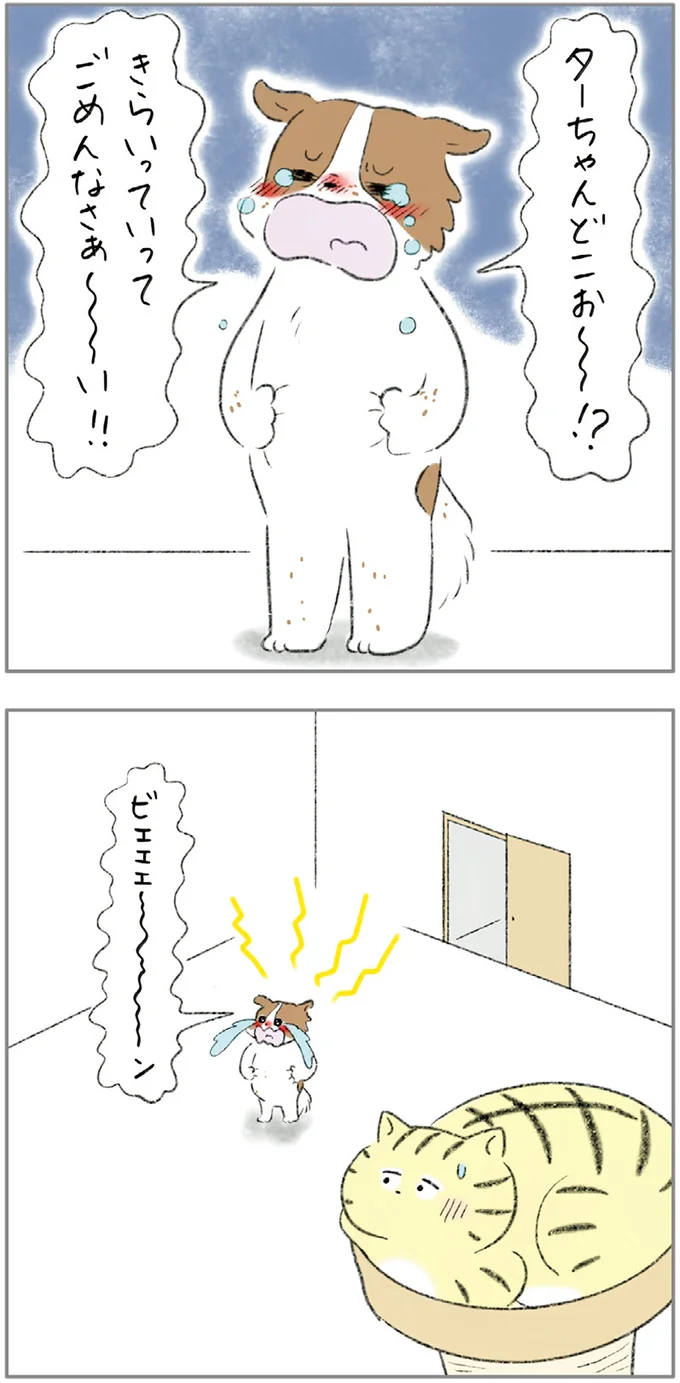 『ターとアグのしあわせ日和 元ノラ猫と元保護犬、ふたりは親友』 05-11.png