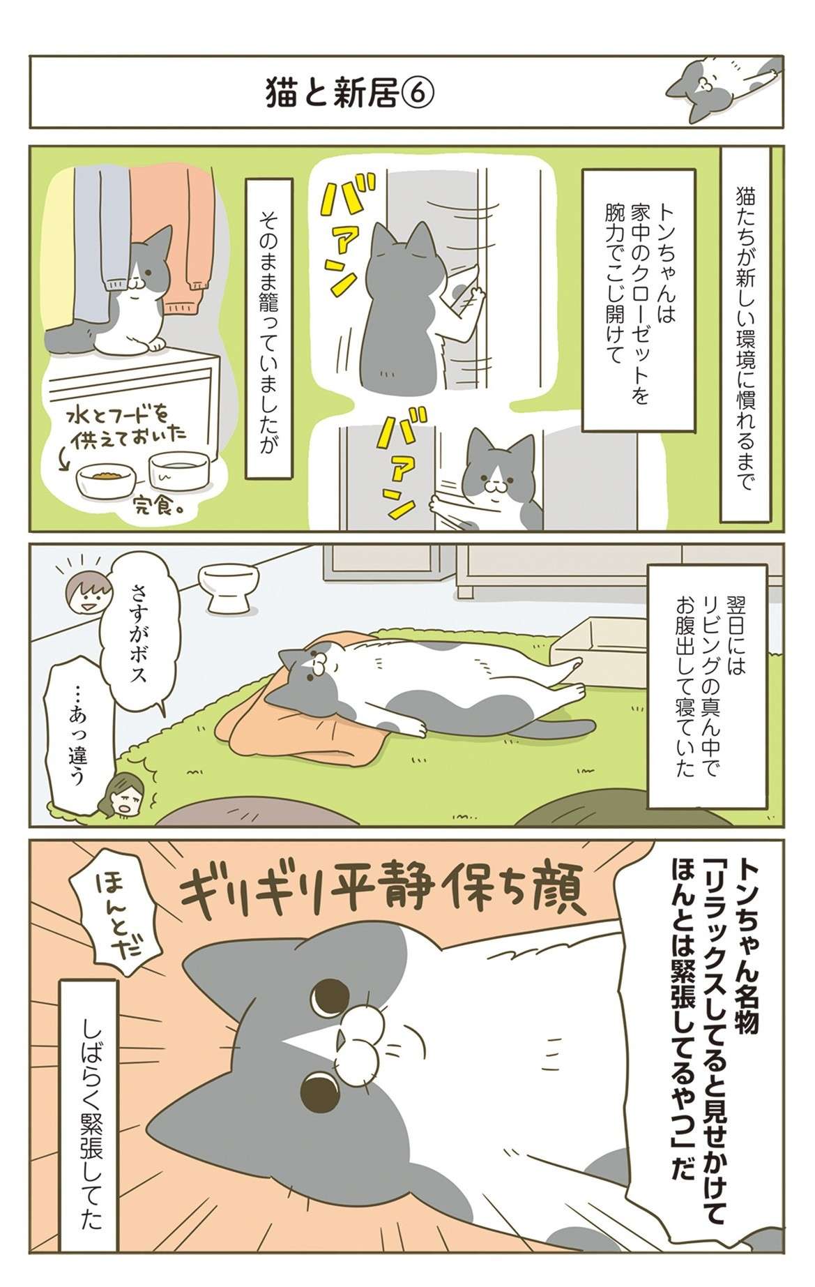 引っ越し直後の猫。新しい環境での「かなり独特な緊張した表情」／うちの猫がまた変なことしてる。7 12.jpg