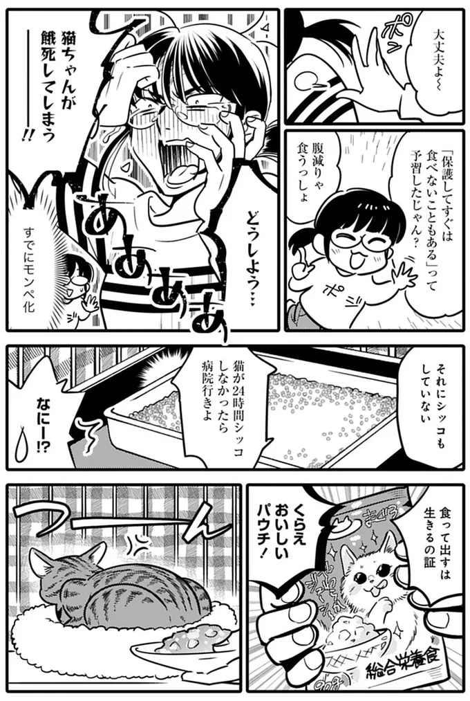 ご飯を拒否し続ける保護猫。見かねて刺身をあげてみたら...え？／ブリちゃん日記 15791743.webp