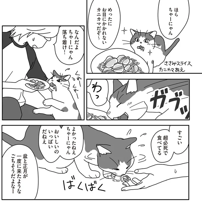 口内のガンに苦しむ猫。大好きなものを食べたいだけ食べてほしくて／世界一幸せな飼い主にしてくれた猫 15-07.png