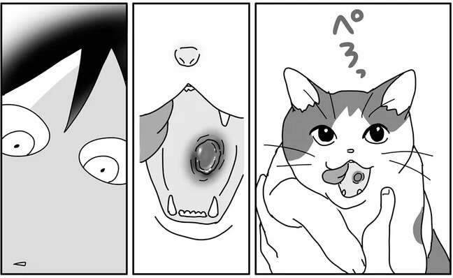 愛する猫の口の中に見えた何か。大きすぎる「口内炎」の正体は／世界一幸せな飼い主にしてくれた猫
