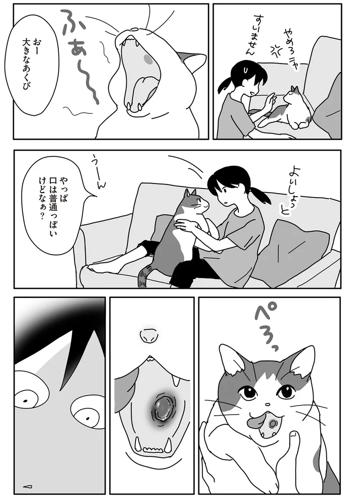『世界一幸せな飼い主にしてくれた猫』 06-02.png