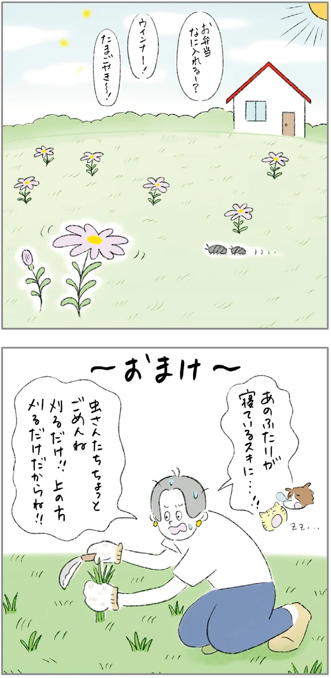 『ターとアグのしあわせ日和 元ノラ猫と元保護犬、ふたりは親友』 04-08.png