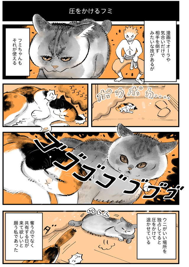 「ネコオオオ！」仕事でくたくたになった時、愛猫を抱きしめるとこんな効果が！ ／うちの猫は仲が悪い e459d128676d564a8bd465ed0d1da78d.jpg