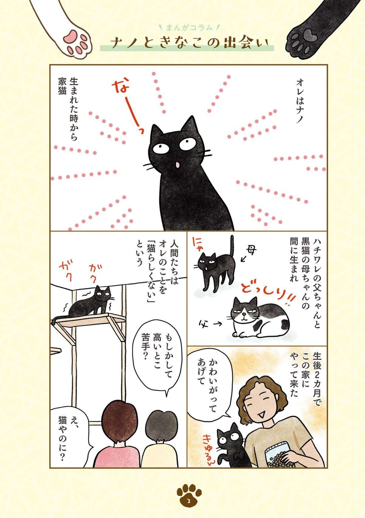 「え、猫やのに？」猫らしくない黒猫。新入りキジシロ猫との関係は？／黒猫ナノとキジシロ猫きなこ kuroneko_nano1-1.jpg