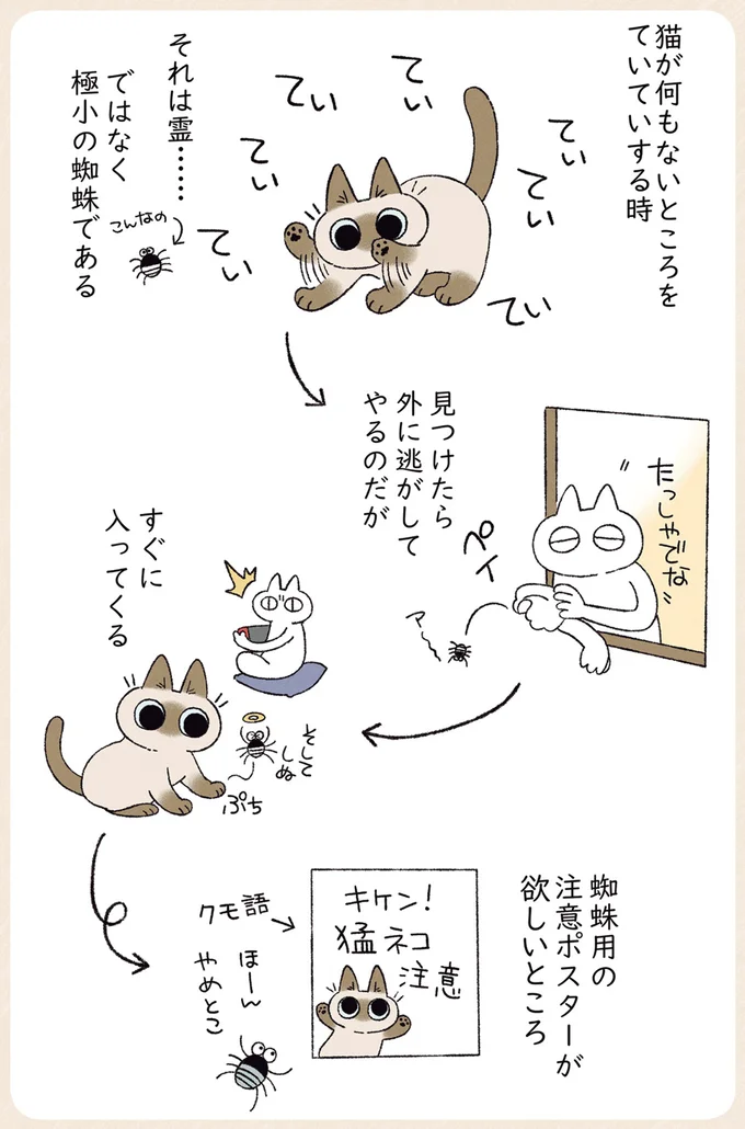 『シャム猫あずきさんは世界の中心』1〜2 13-03.png