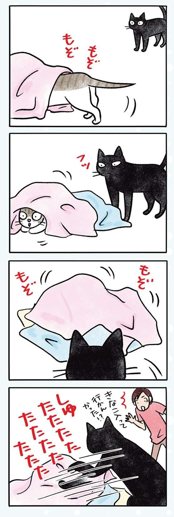 うちの猫2匹の微妙な「距離感」。仲がいいのか悪いのか／黒猫ナノとキジシロ猫きなこ kuroneko_nano13-3.jpg