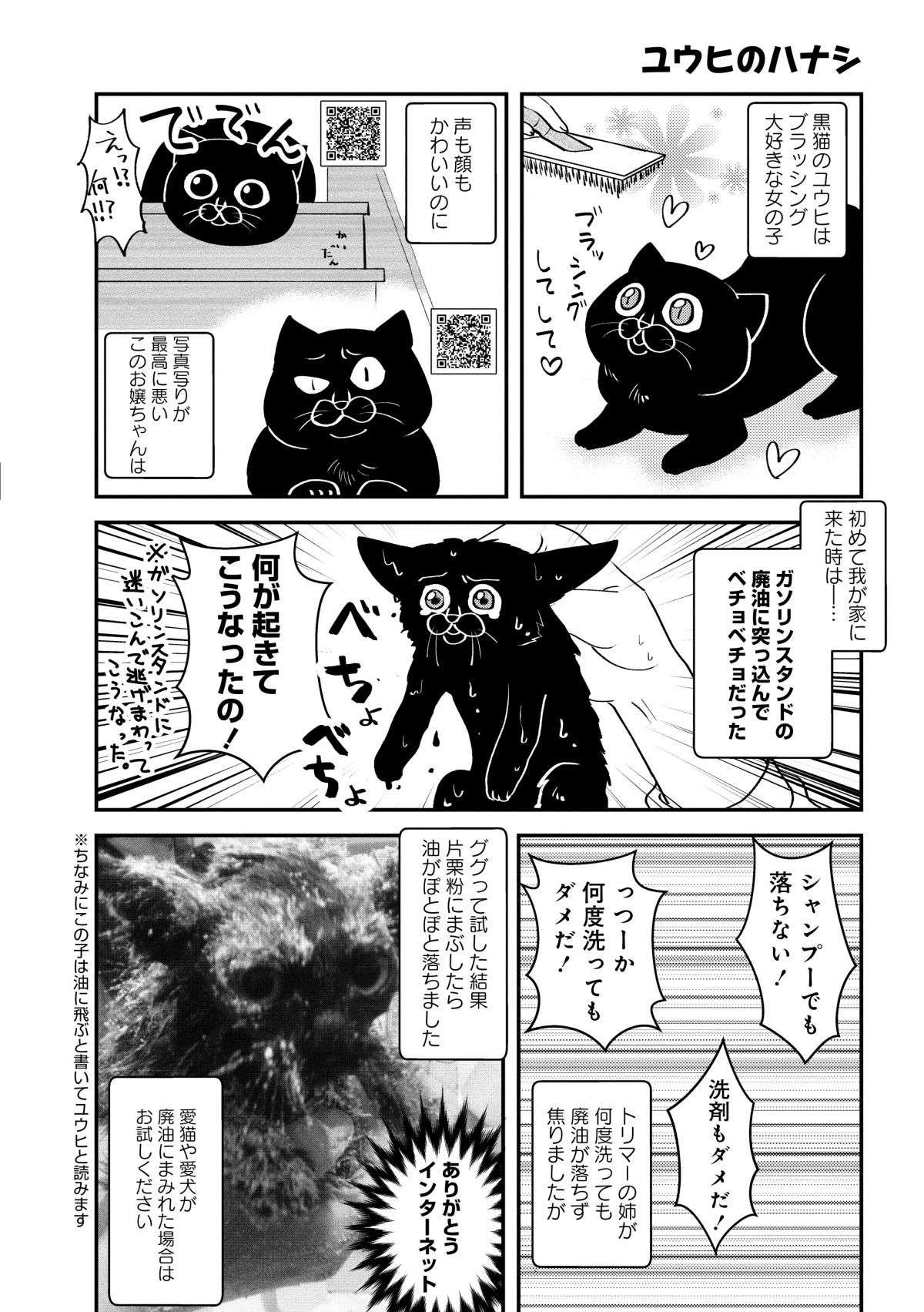 廃油まみれの黒猫が我が家に！ 何度洗っても落ちない廃油をキレイに取る方法／猫とハスキーとハマジ1 4.jpg