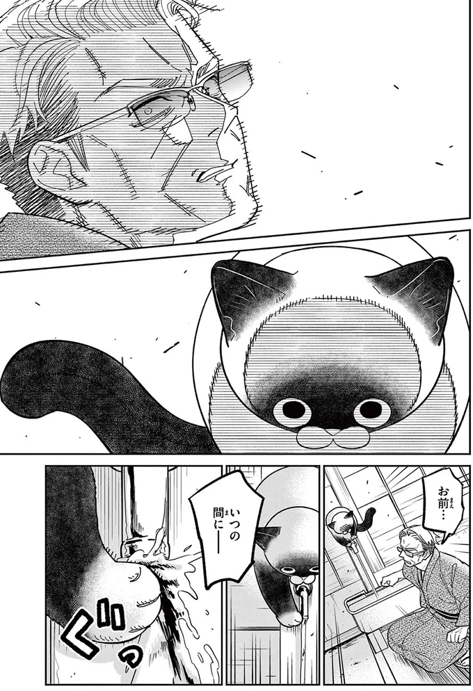 勝手に侵入してくる野良猫VS伝説の極道。「最大の弱点」で撃退を試みるも!?／オヤジとにゃん吉 16199610.webp