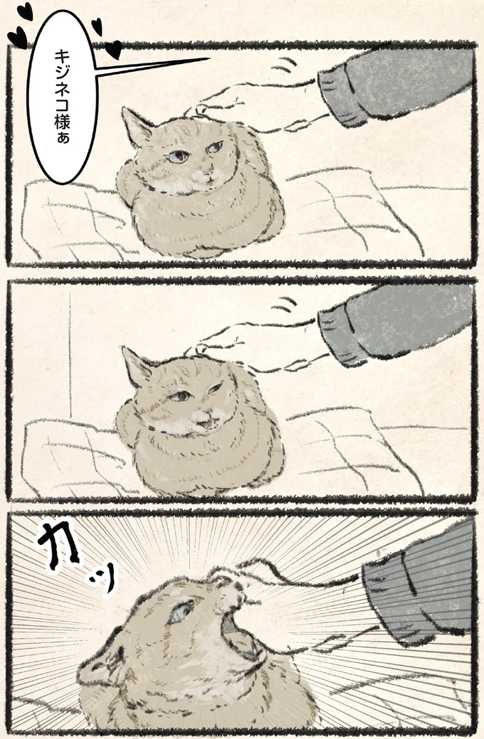 「これ、違うよねぇ？」フードが変わった時の猫。誇り高い猫の反応は／今日もネコ様の圧が強い 06-02.png