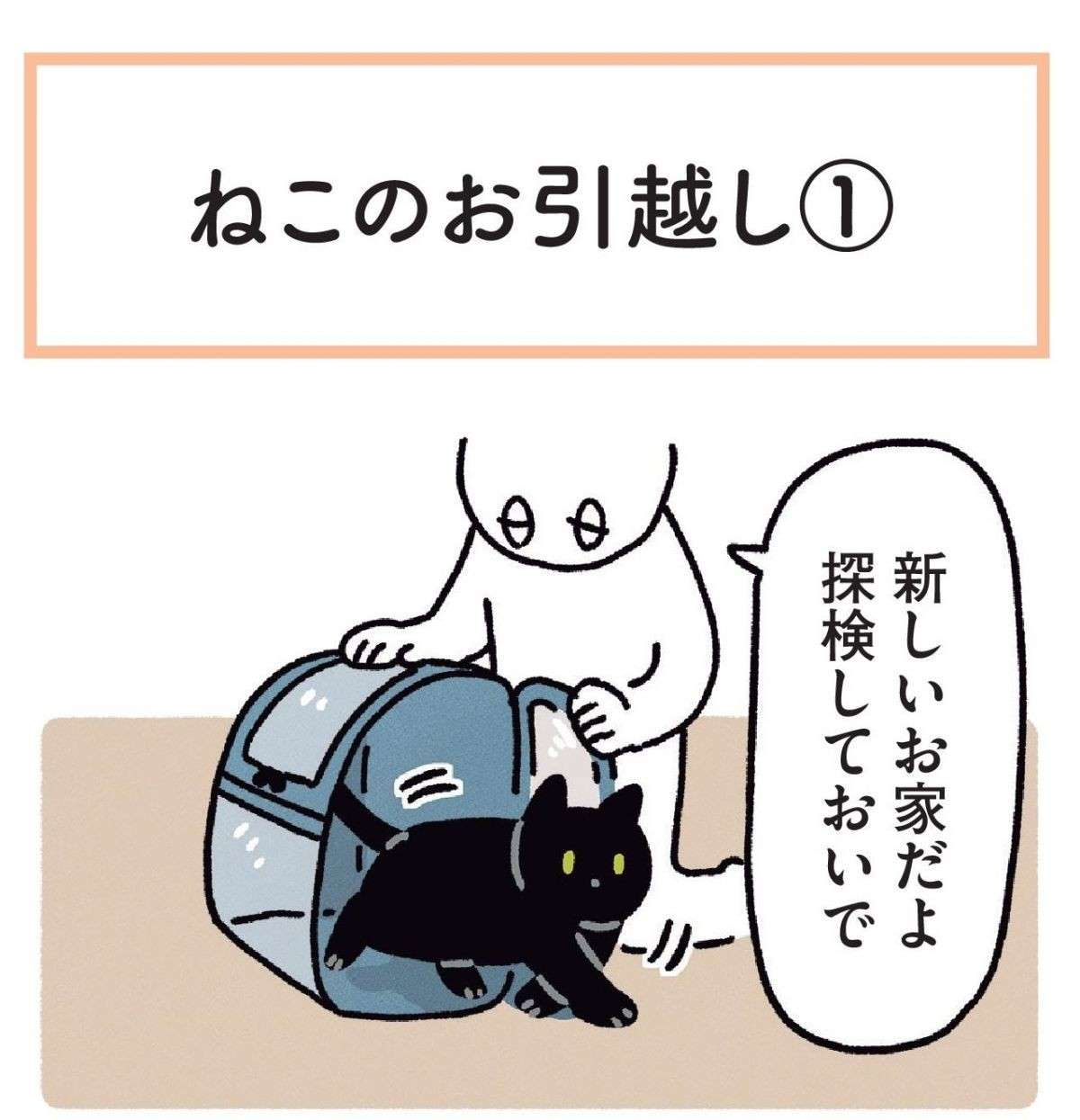 猫は思い通りにならない。引っ越し先でキャットタワーを新調したが／黒猫ろんと暮らしたら 1.jpg