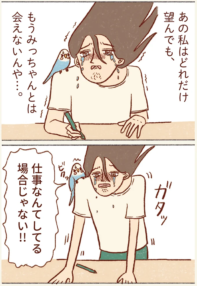 『プジェ日記！ 幸せを運ぶインコのみっちゃん』 33.webp