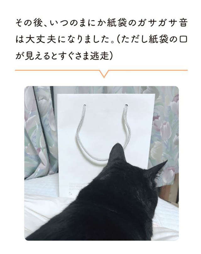 「ナアアア」猫は紙袋が好き...なはずだったのにウチの場合は／黒猫ろんと暮らしたら1 14.jpg