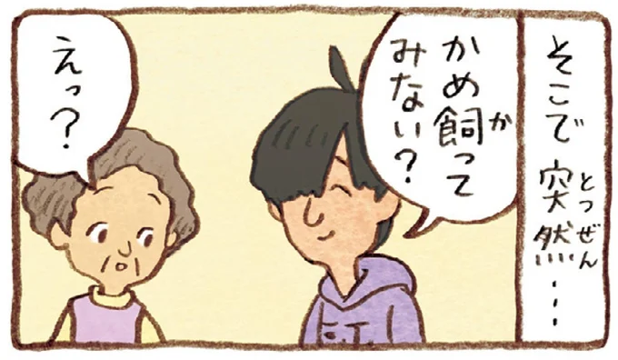 息子がくれた二匹の子がめ。仕事を引退した夫と一緒に「飼ってみようか」/おばあちゃんとかめ