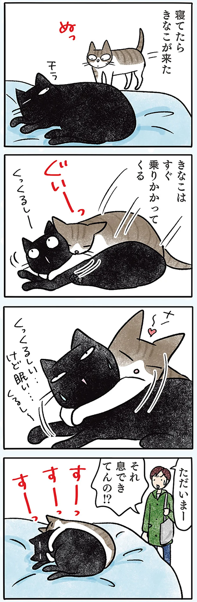 『黒猫ナノとキジシロ猫きなこ』 07-01.png