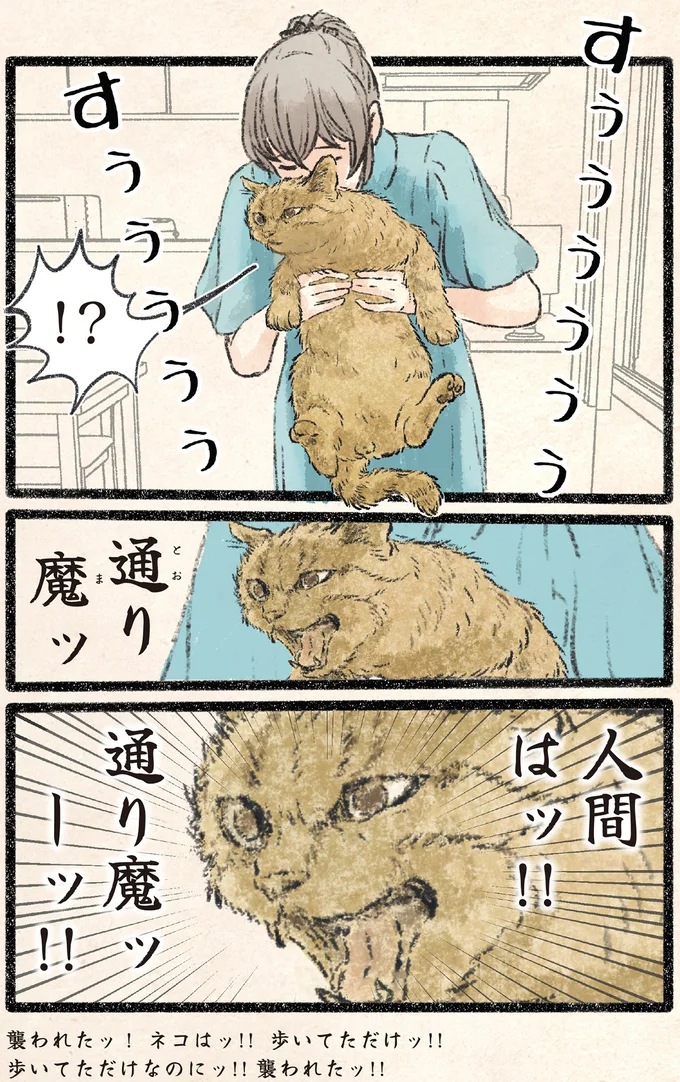 『今日もネコ様の圧が強い2』 53.webp