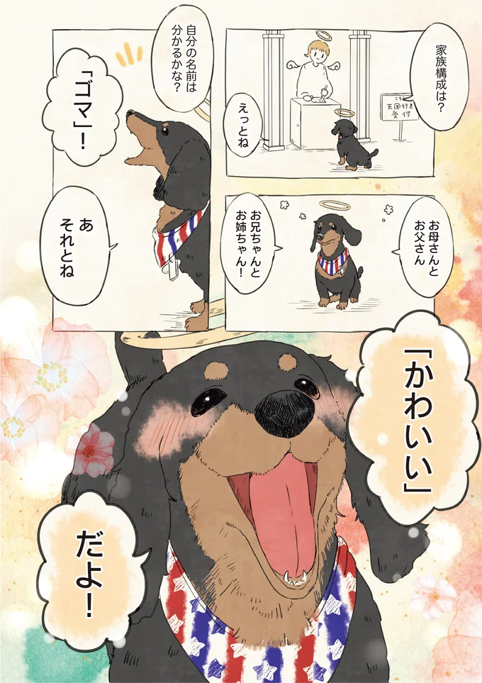 自分の名前を勘違いしている子 01-01.webp