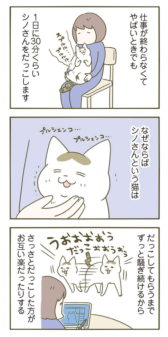 必ず愛猫を1日30分だっこ。どんなに仕事が忙しくても...なぜ？／うちの猫がまた変なことしてる。5 11.jpg