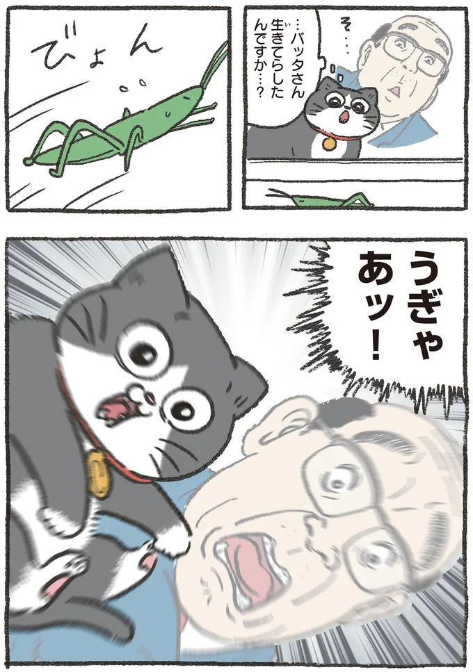 「この度は辞退させていただければ」遠回しな拒否は先輩猫に届く？／ねこに転生したおじさん3 156.webp