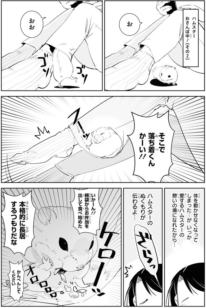 ハムスターが見つけた「くつろぐ場所」に困惑。いろいろ探索してそこ!?／はむはむづくし 11-02.png