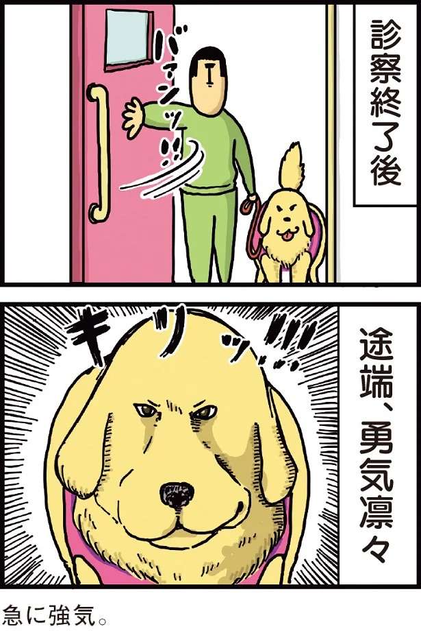 怯えすぎやろ...愛犬を動物病院へ。息を荒くしてアピールしてくるが...／まめきちまめこニートの日常 1 mameko1_3.jpeg