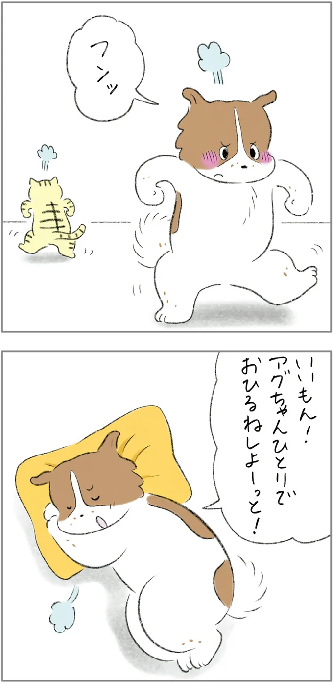 『ターとアグのしあわせ日和 元ノラ猫と元保護犬、ふたりは親友』 05-04.png