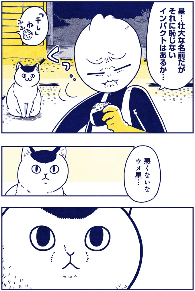 初めての焼きもち？おにぎりに夢中な宇宙人に猫が意外な行動を...／宇宙人、猫と住む 05-04.png