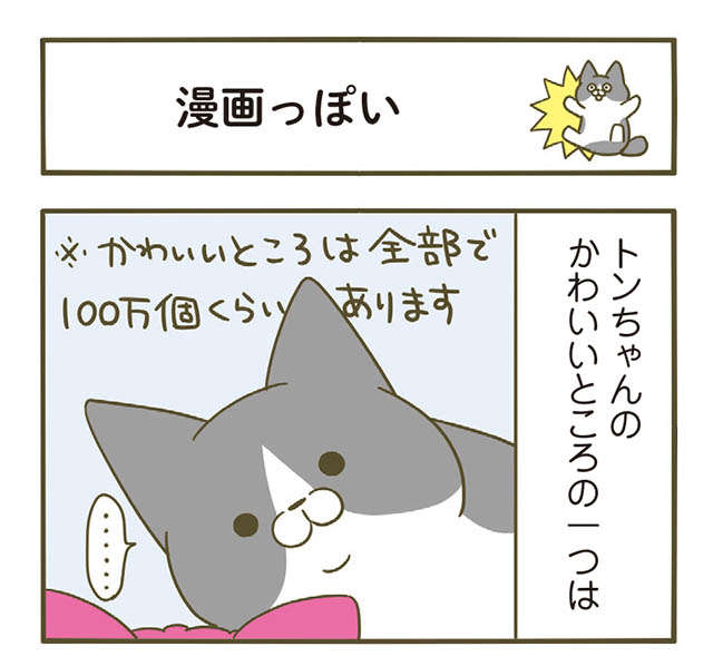 猫がびっくりした瞬間。そのちょっとした動きがかわいすぎる...！／うちの猫がまた変なことしてる。5 1.jpg