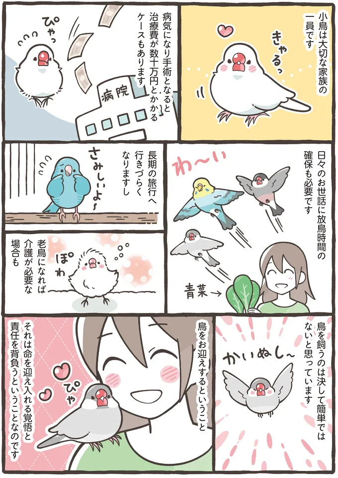 かかりつけの病院に家族の同意。小鳥と暮らすための必須項目／トリ扱い説明書 26.png