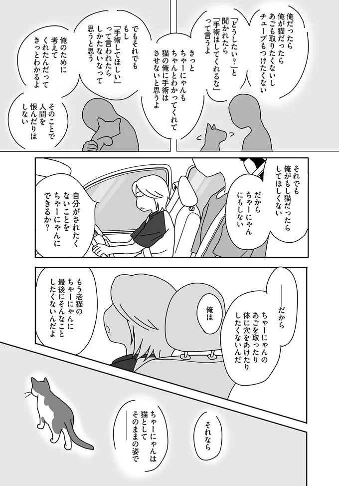 『世界一幸せな飼い主にしてくれた猫』 10-04.png