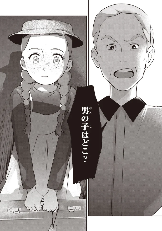 『アン・シャーリー 1』 36.webp