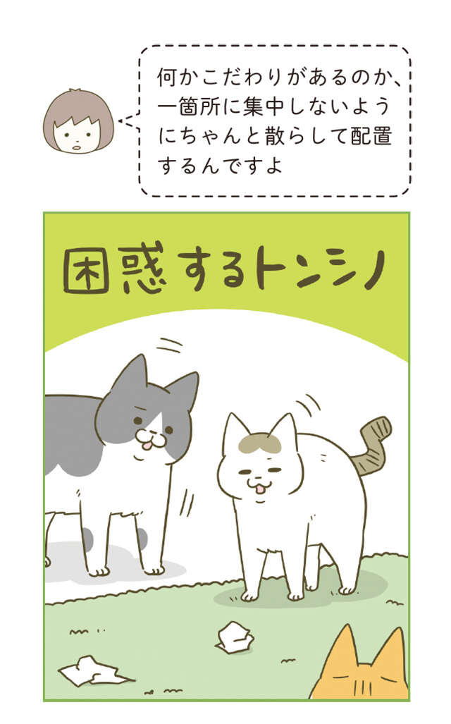 「なんのために？」猫の趣味が理解不能。何かこだわりがある...？／うちの猫がまた変なことしてる。6 12.jpg